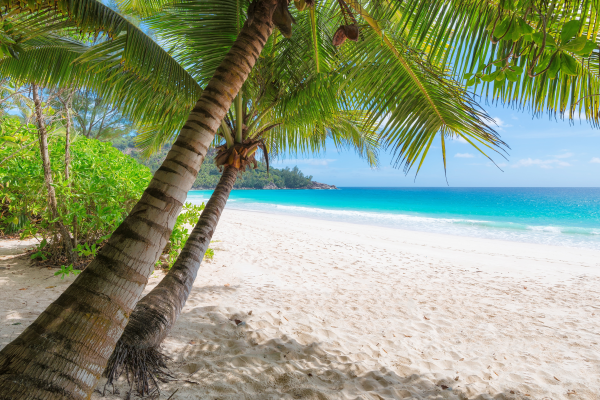 Surreal Travel Beach Scene - Postickers™ Poster Print