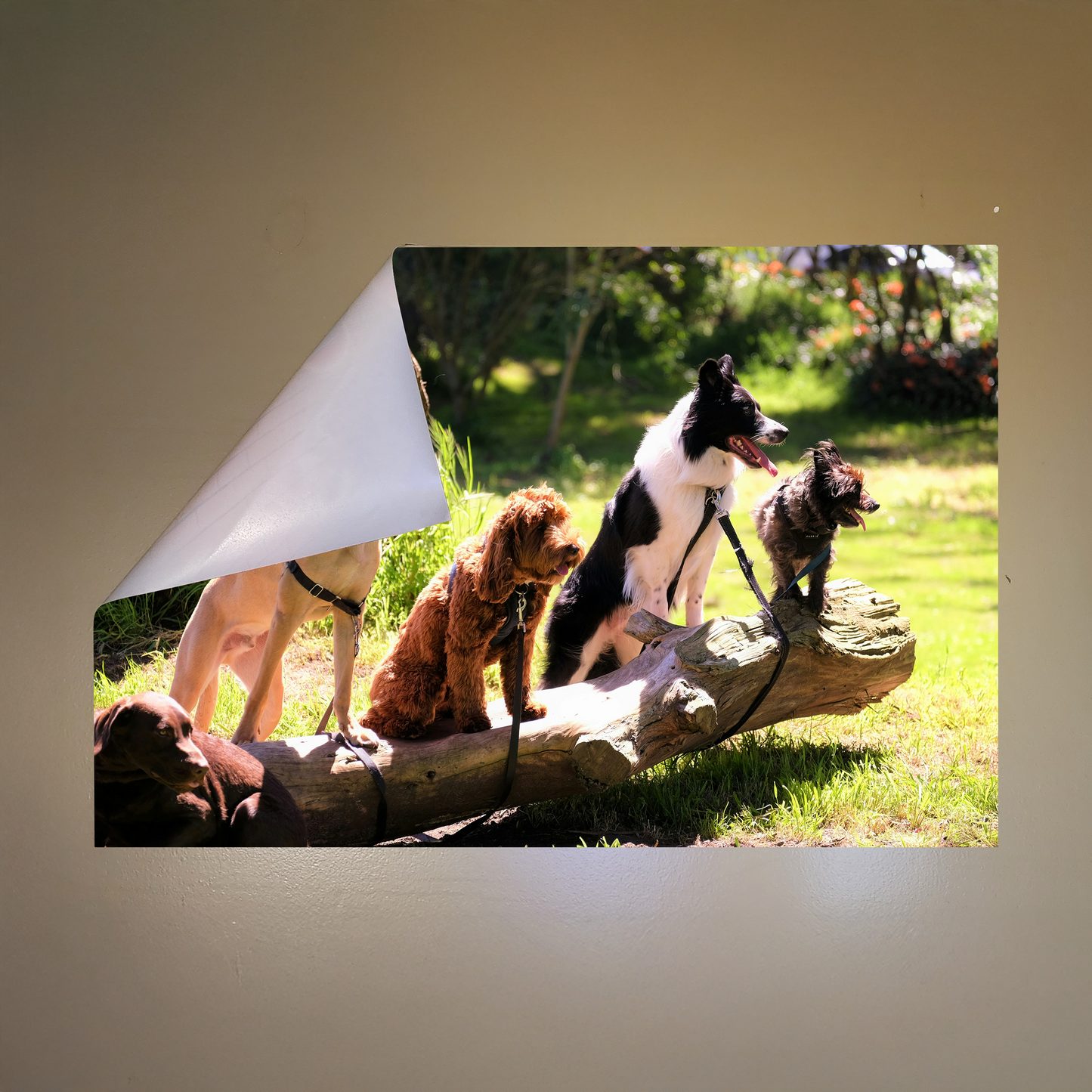 Custom PET Postickers™ Poster Peel