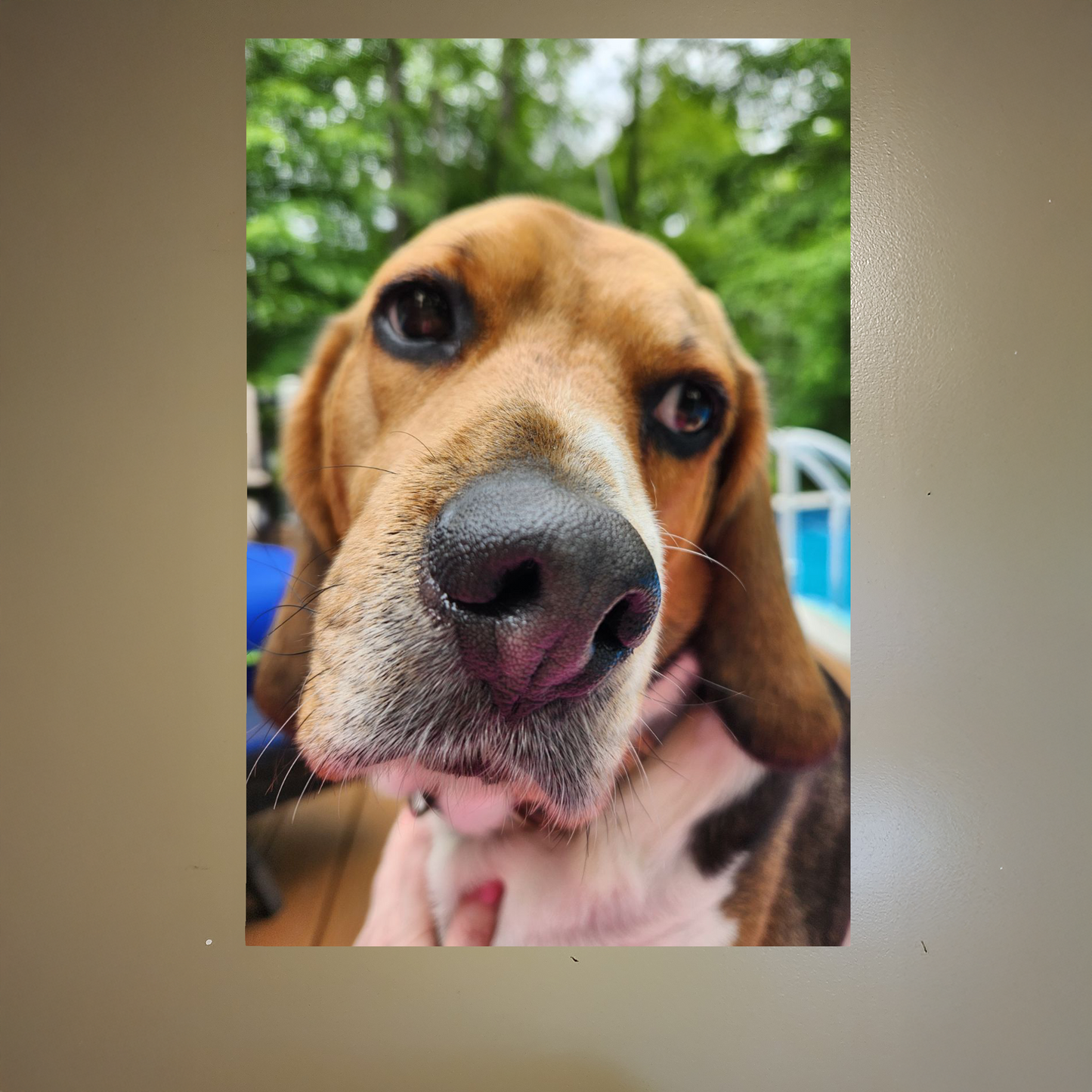 Custom PET Postickers™ Poster Peel