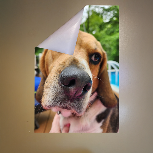 Custom PET Postickers™ Poster Peel