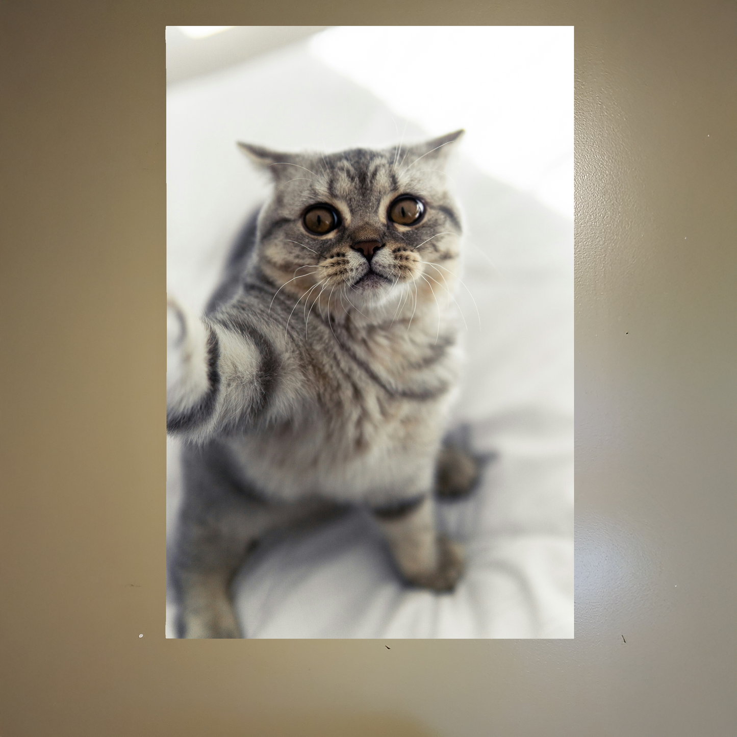 Custom PET Postickers™ Poster Peel