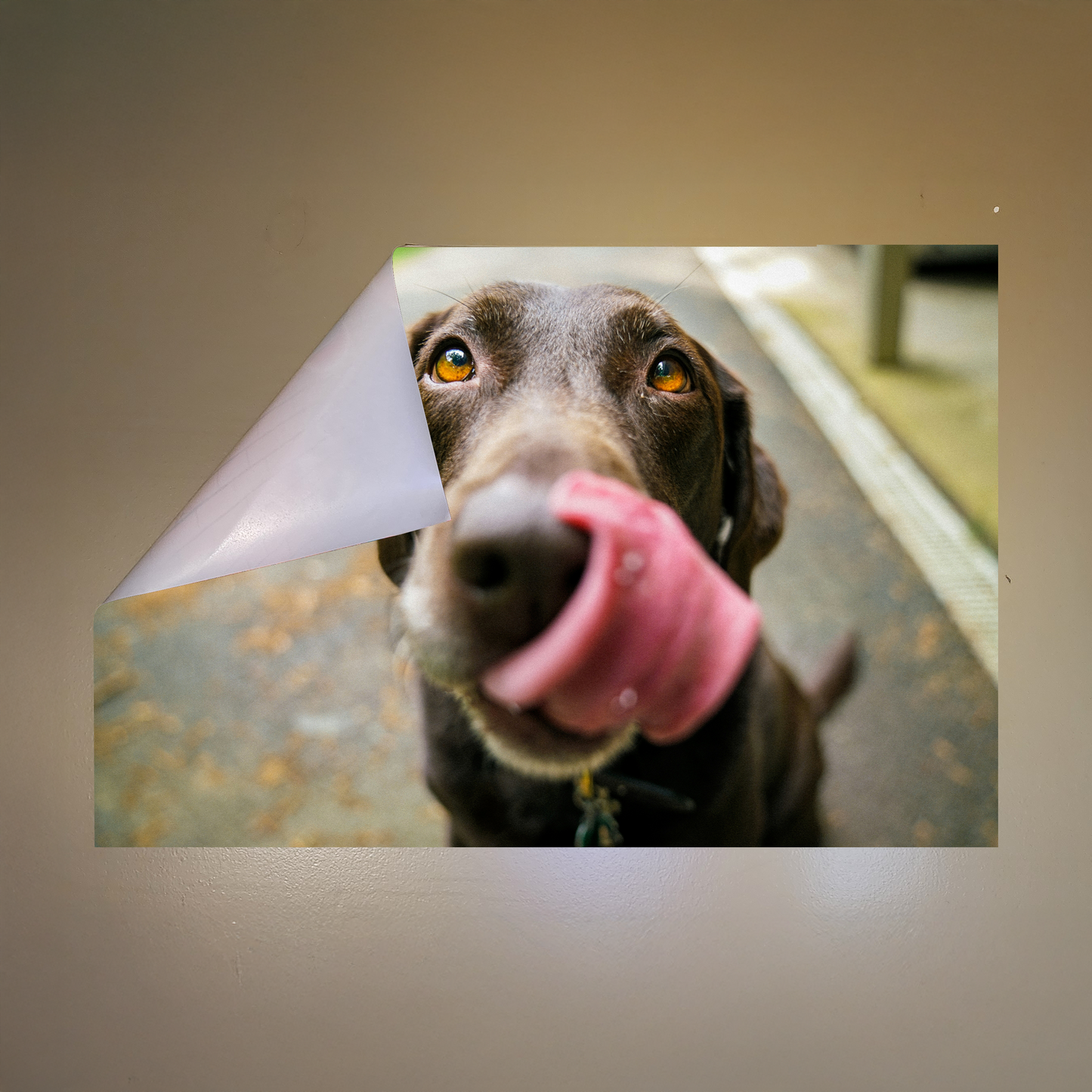 Custom PET Postickers™ Poster Peel