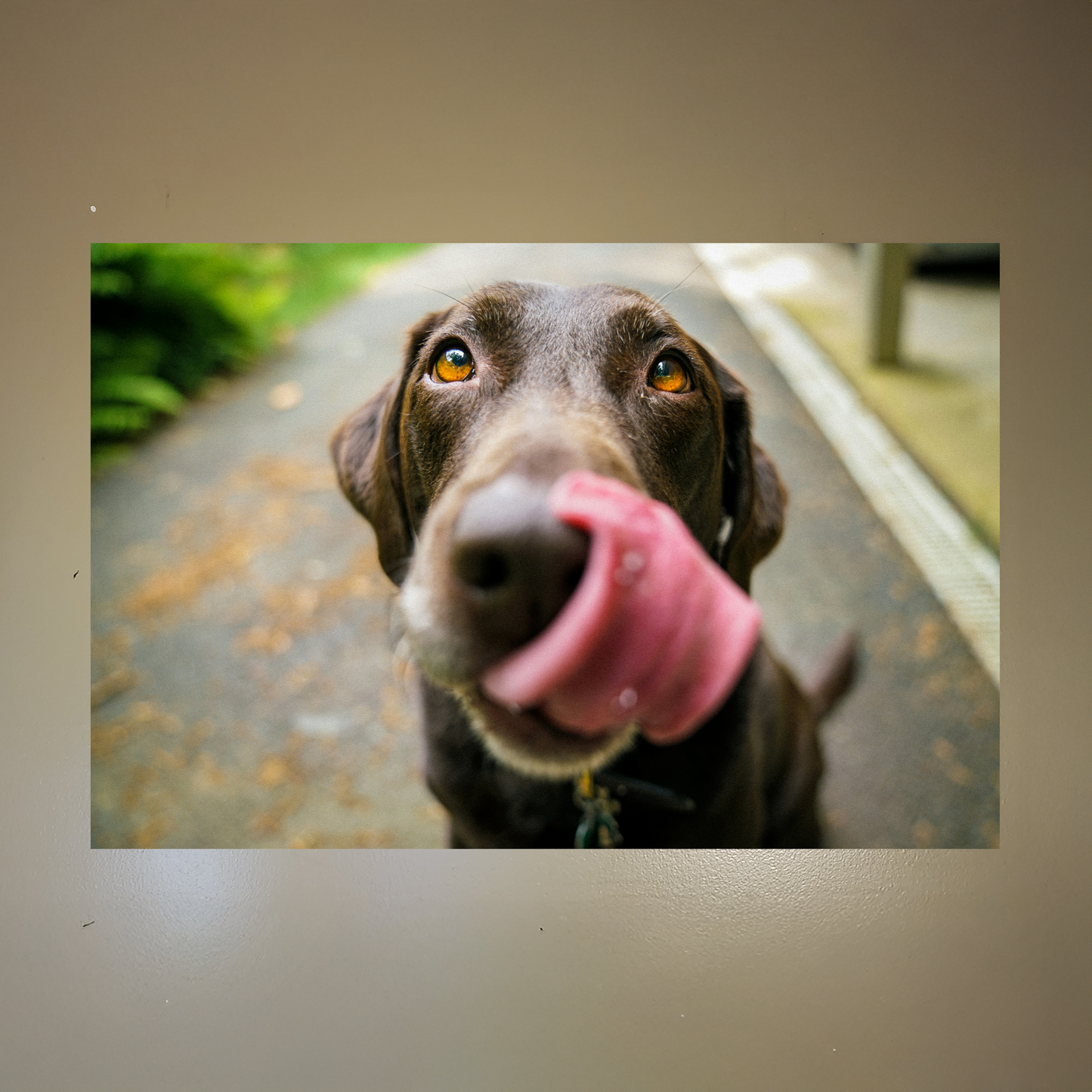 Custom PET Postickers™ Poster Peel